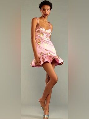 Cyntgia Rowley Dripping in Gold Dress size 2 NWT